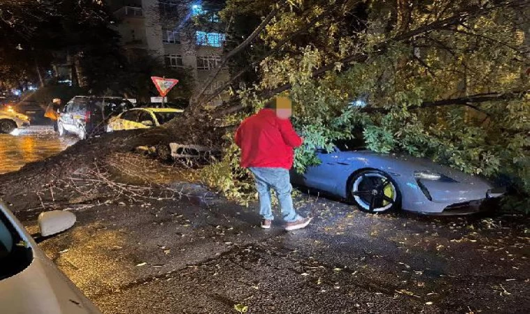 Ankara’da kuvvetli rüzgarda devrilen ağaç, otomobilin üzerine düştü