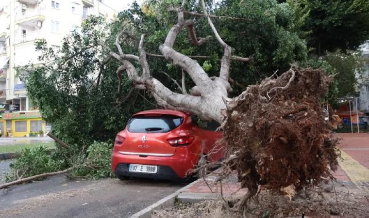 Antalya’da şiddetli yağış ve fırtına; tekneler battı, ağaçlar devrildi