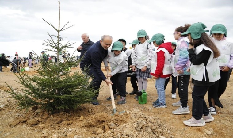 Arnavutköyde binlerce fidan toprakla buluştu