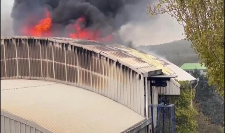 Arnavutköy’de fabrika yangını-1