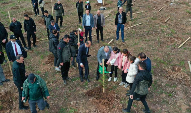 Artvinde ‘Milli Ağaçlandırma Günü etkinlikleri kapsamında 100 bin adet fidan toprakla buluşturuldu