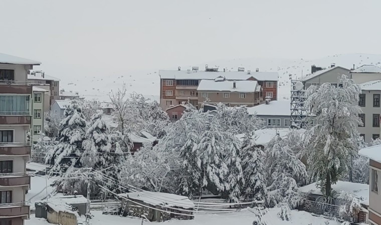 Aşkaleye mevsimin ilk karı yağdı