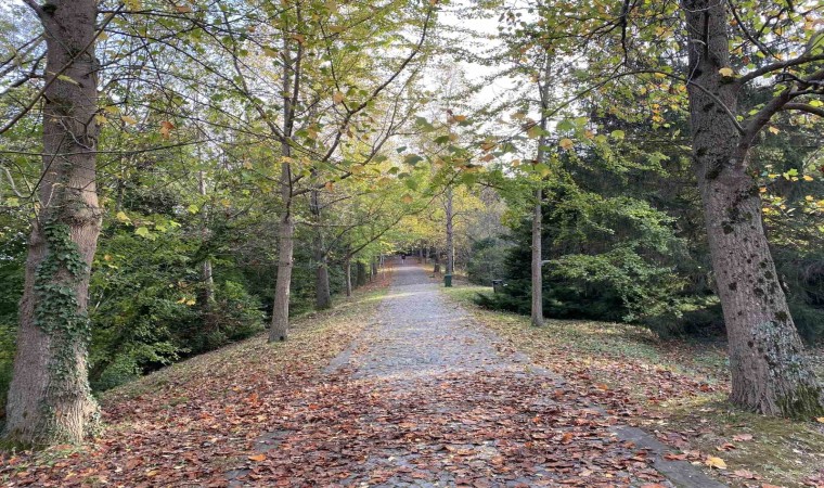 Atatürk Arboretumunda kartpostallık manzaralar