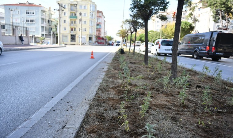 Atikhisar caddesi lavantalar ile donatıldı