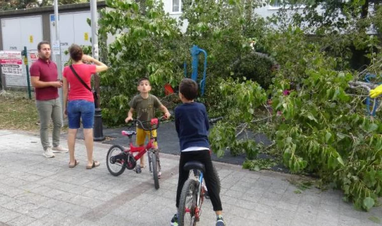 Avcılar’da parkta oynayan 3 çocuğun üzerine ağaç devrildi