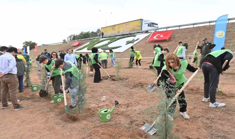 Aydında 2 bin 23 mavi servi fidanı toprakla buluştu