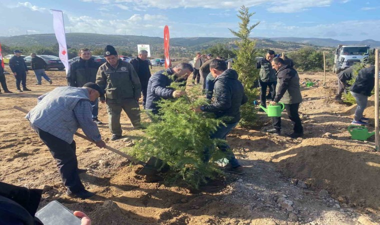 Ayvacıkta 600 fidan toprakla buluştu