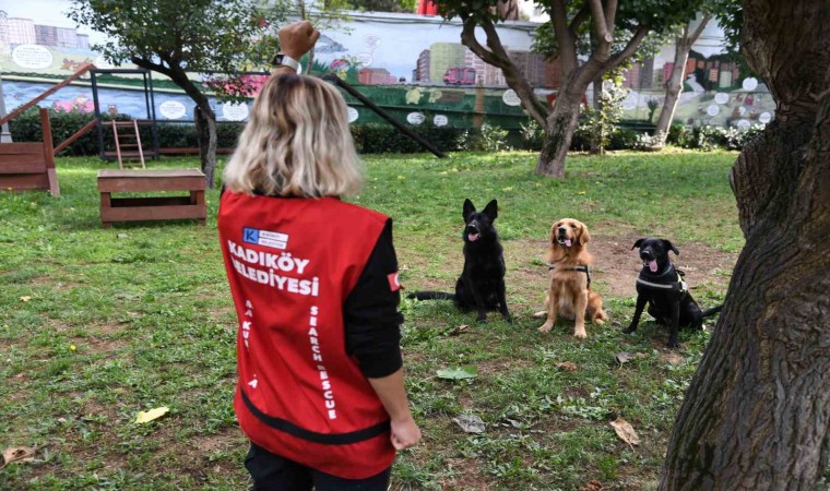 BAK-Kadıköyün yeni üyesi Coco