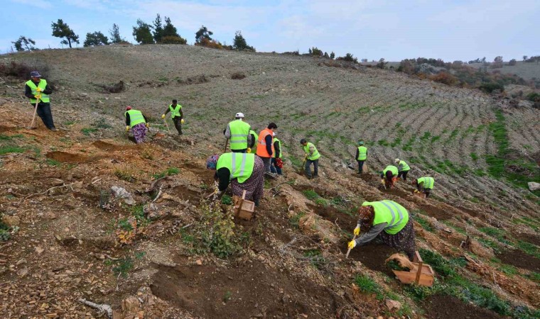 Balıkesirde orman köylüsü bildiği işle kalkındırılıyor