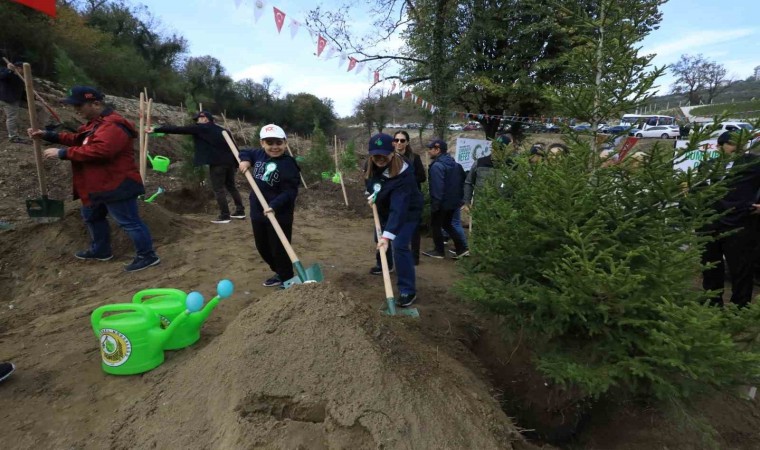 Bartın ve ilçelerinde 4 bin 100 fidan toprakla buluştu