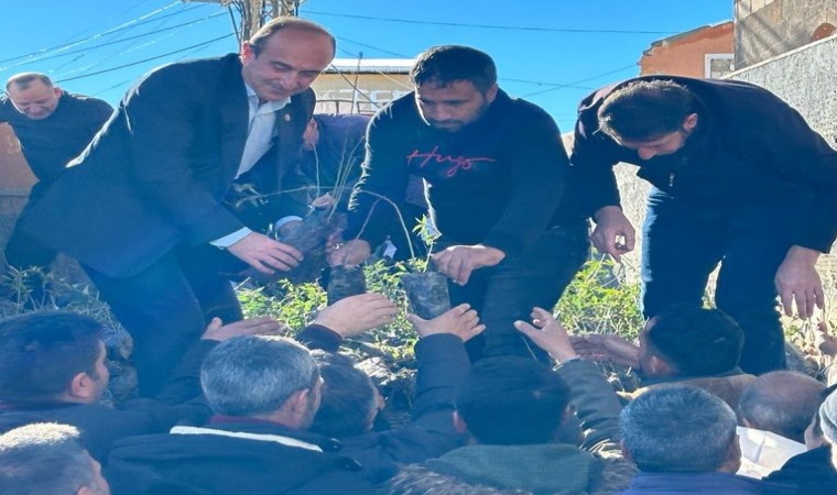 Başkalede 10 bin badem ve ceviz fidanı dağıtıldı