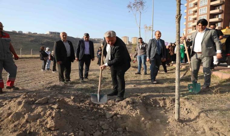 Başkan Palancıoğlu: Fidan değil ağaç dikiyoruz