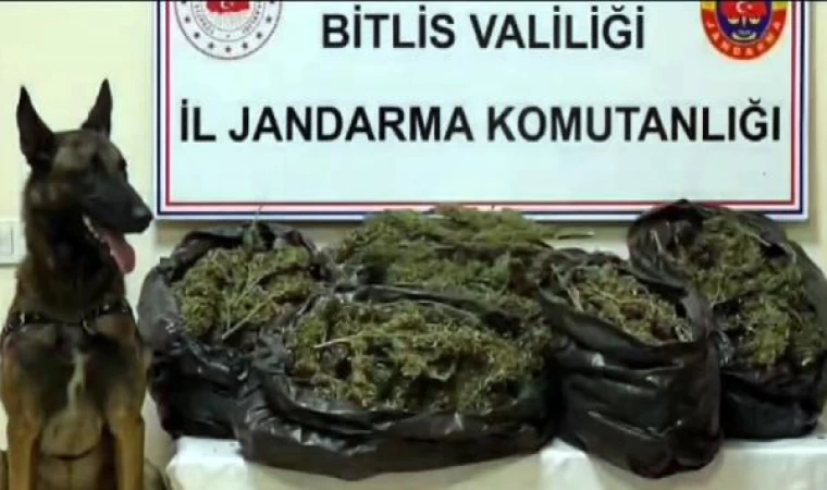 Bitlis’te 10 kilo 200 gram skunk ele geçirildi