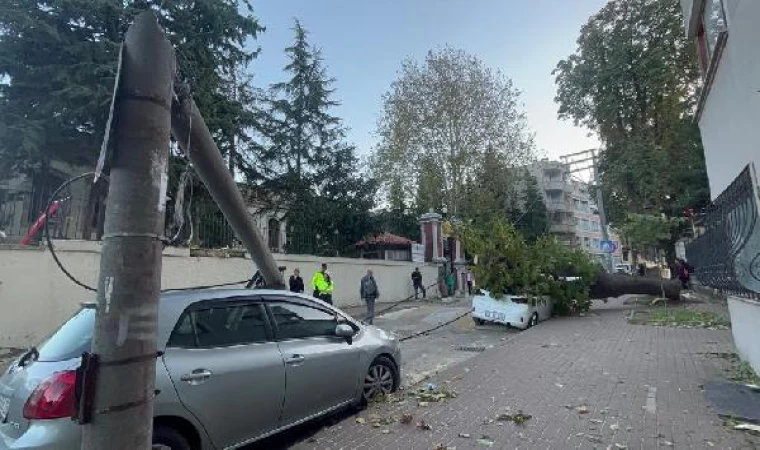 Bursa’da lodos; aydınlatma direği ile ağaç, 2 aracın üzerine devrildi