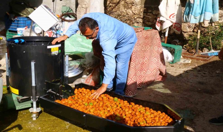 Büyükşehirden Geyikbayırlılara ceviz ayıklama ve salça makinesi