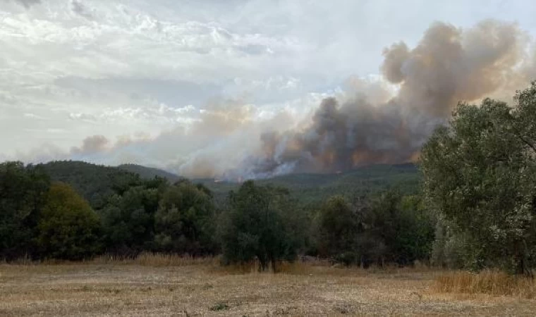 Çanakkale’de orman yangını (2)