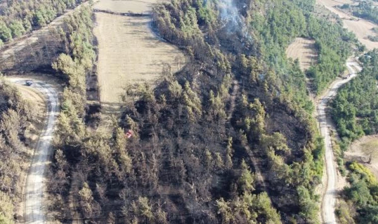 Çanakkale’deki orman yangınında soğutma çalışmaları sürüyor