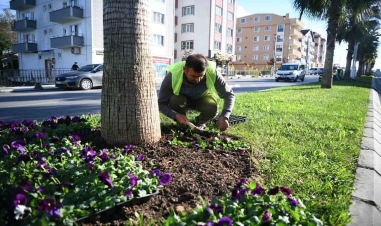 Çayırovada kışa hazırlık