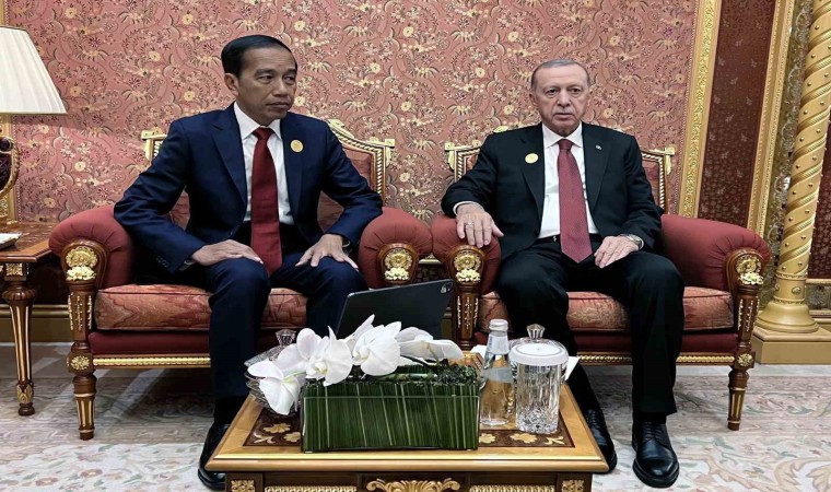 Cumhurbaşkanı Erdoğan, Endonezya Devlet Başkanı Widodo ile görüştü