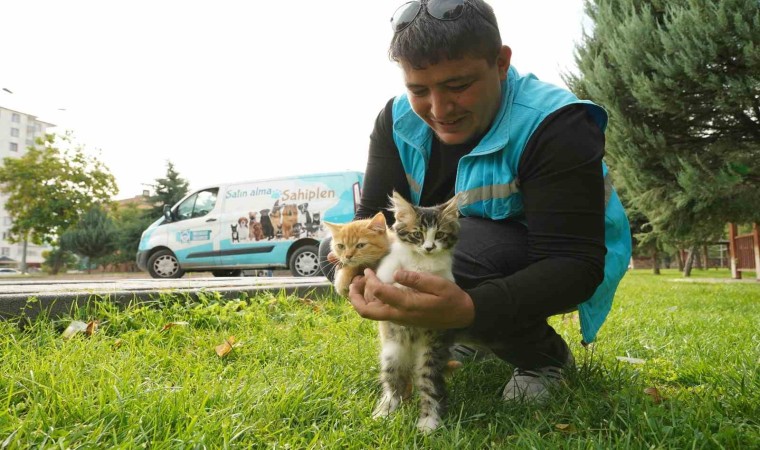 Daha temiz ve sağlıklı bir çevre için Melikgazide çalışmalar aralıksız devam ediyor