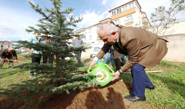 Derincede fidanlar toprakla buluşturuldu