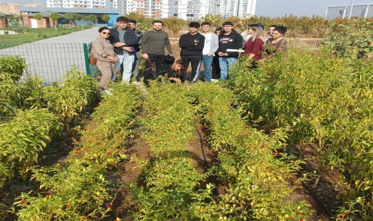 Diyarbakırda lise öğrencileri sebze ve meyve ağaçları yetiştirme hakkında bilgi aldı