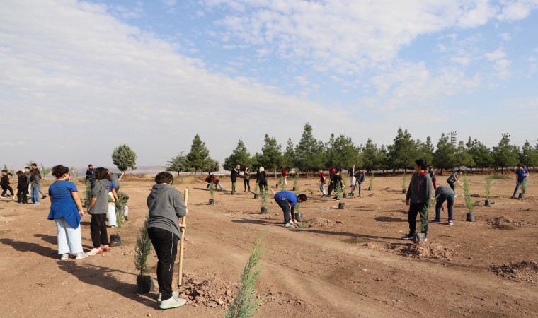 Diyarbakırda öğrenciler fidan dikti