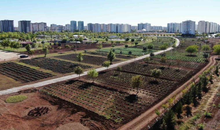 Diyarbakırda Tıbbi Aromatik Bitki Bahçesi şehre güzel koku yayacak