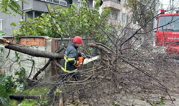 Düzcede fırtına ile mücadele devam ediyor