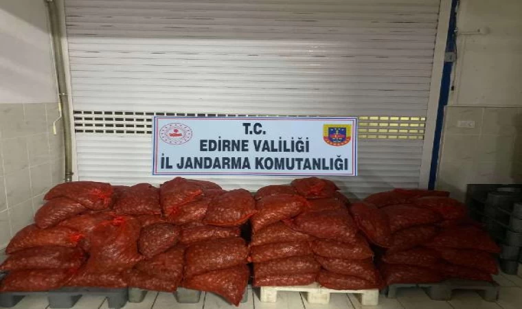 Edirne’de 1 ton 662 kilo kaçak kum midyesi ele geçirildi