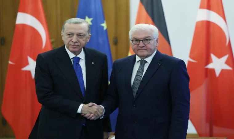 Erdoğan, Alman mevkidaşı Steinmeier ile bir araya geldi (2)