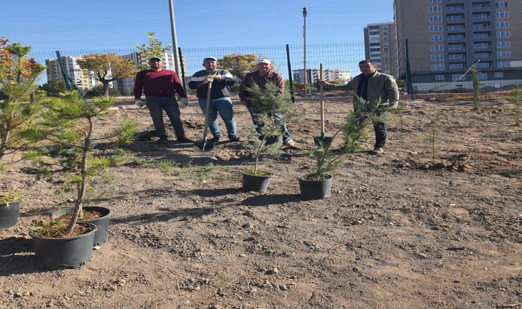 Erkilet Stadının çehresi değişti