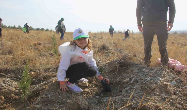 Erzincanda fidanlar toprakla buluşturuldu