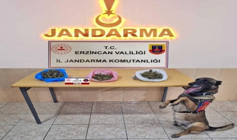 Erzincanda jandarma ekipleri suça geçit vermiyor