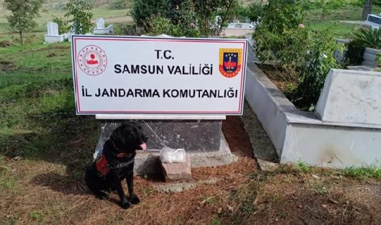 ’Etkin pişmanlık’ için dedesinin kabrine uyuşturucu sakladığını itiraf eden sanığa 15 yıl hapis