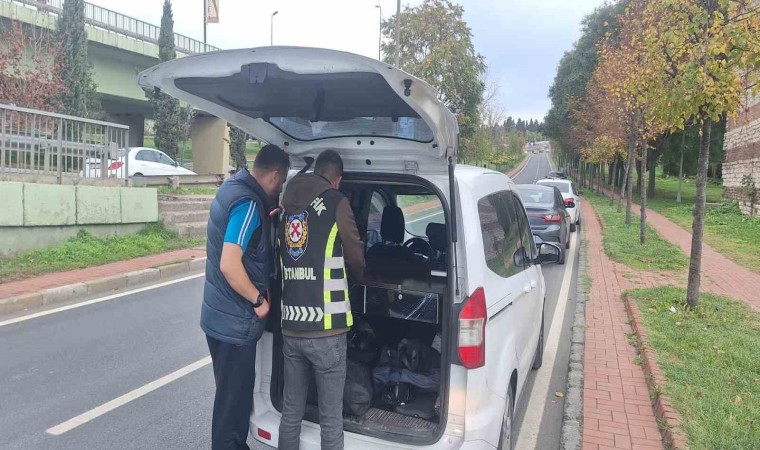 Fatihte yayalara yol vermeyen sürücülere cezai işlem uygulandı