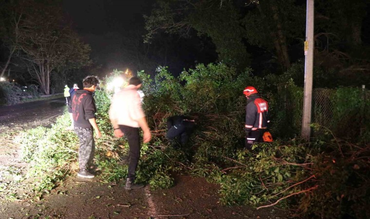 Fırtına, Sakaryanın turistik ilçesini yıktı geçti