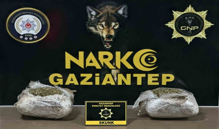 Gaziantepte 1.5 kilogram skunk ele geçirildi