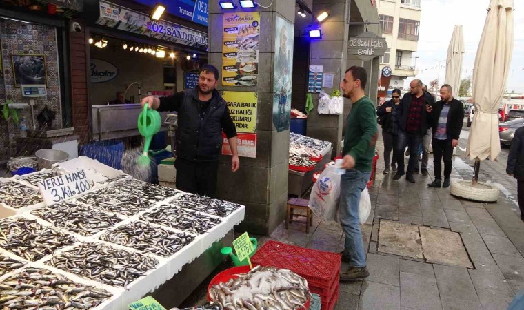 Hamsi sezonu sürüyor, palamut sezonu ise bitti