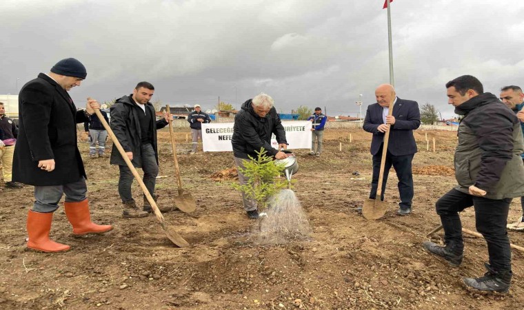 Hayraboluda 100. Yıl Cumhuriyet Ormanı oluşturuldu