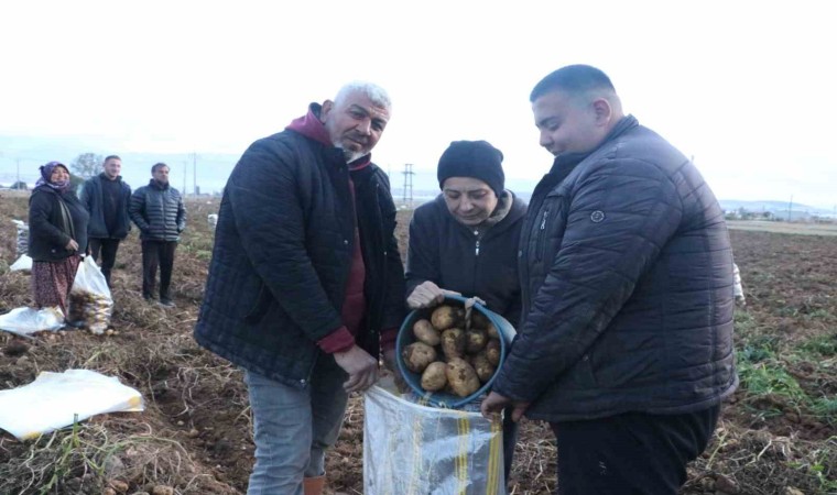 İkinci dönem ekimi yapılan patateste hasat döneminin sonuna gelindi