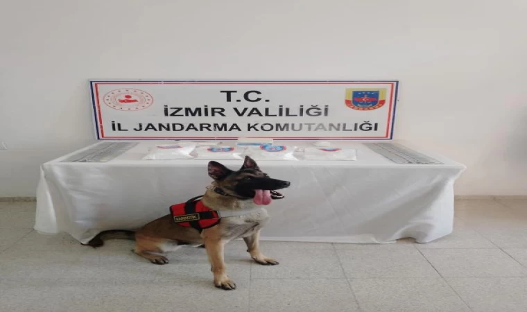 İzmir’de 2 kilo 450 gram kokain ele geçirildi