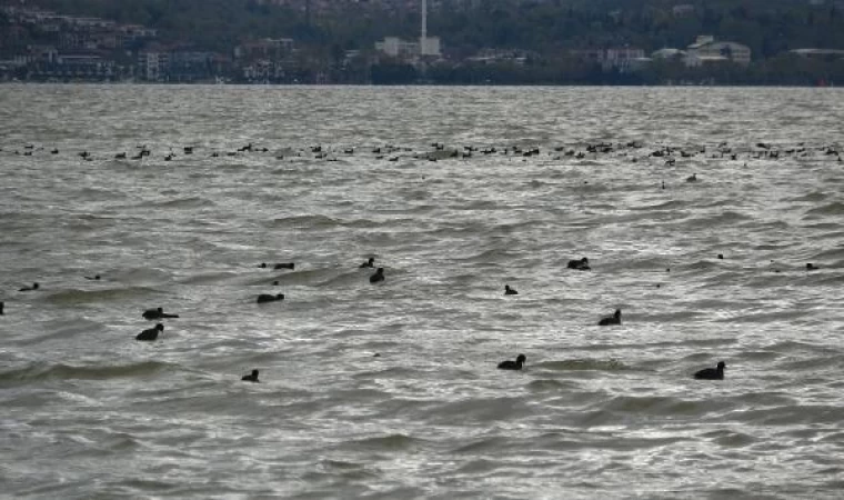 İzmit Körfezi, çamur rengini aldı