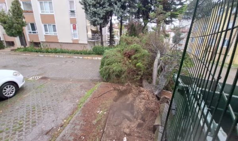 İzmit’te yağmur ve fırtına; ağaçlar ve elektrik direkleri devrildi