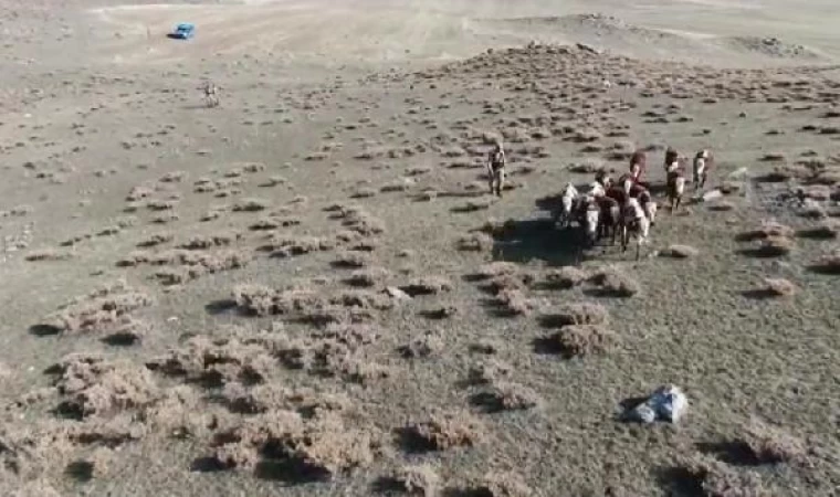 Jandarma, kaybolan 30 ineği dron ile buldu