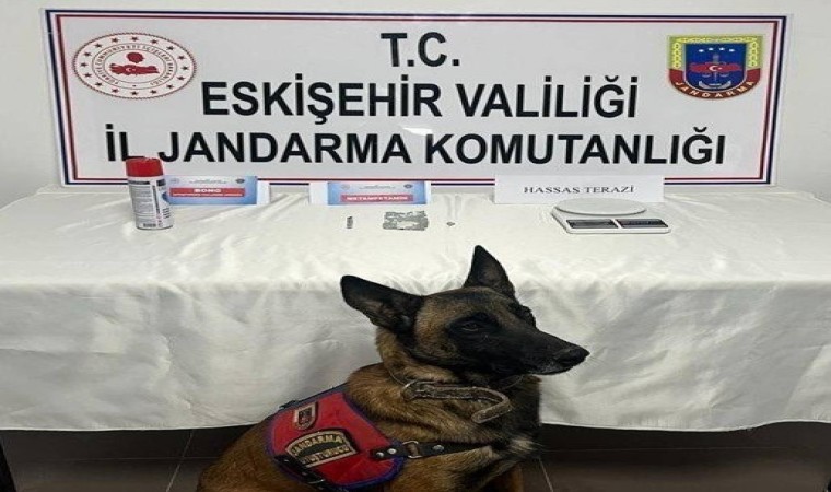 Jandarmanın uyuşturucu ile mücadelesinde 2 şahıs tutuklandı