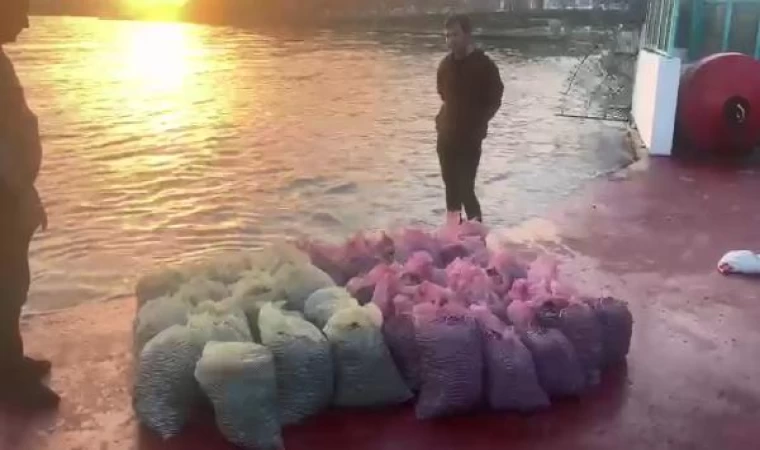 Kadıköy’de 1 ton kaçak midye avlayan kişiye 24 bin lira ceza kesildi