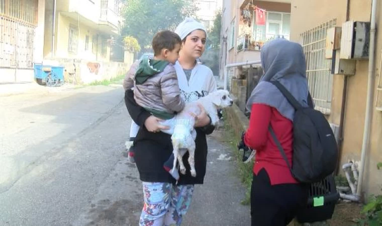 Kadıköy’de 5 katlı binadaki yangında kundaklama iddiası