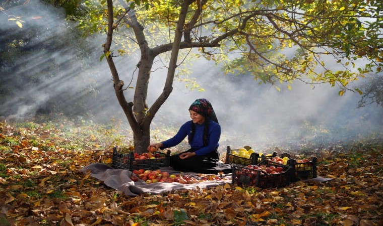 ‘Kadrajımdan Edremit Fotoğraf Yarışması sona erdi