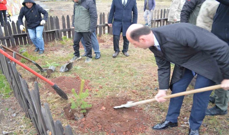 Karsta 52 fidan toprakla buluştu